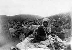 نسل کشی ارامنه دعاوی جرایم بین المللی